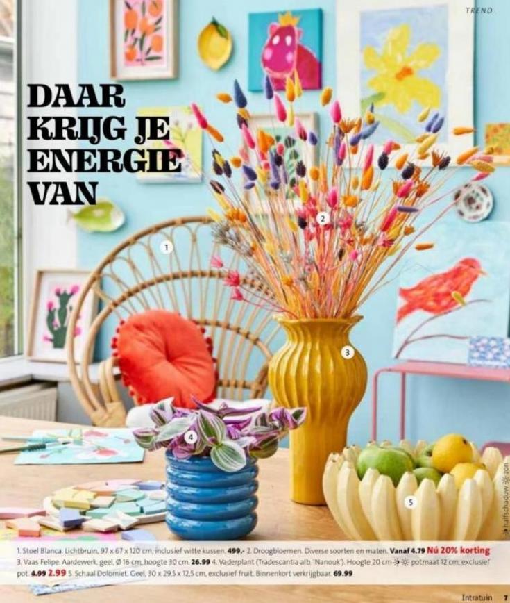 Magazine week 5 2023 NL. Page 7