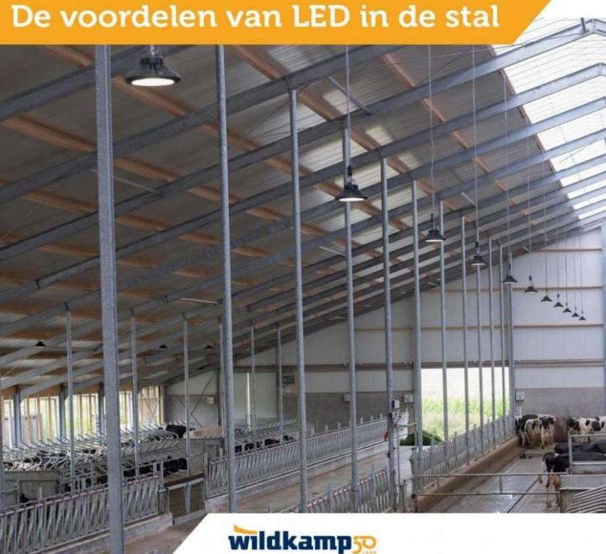 De voordelen van LED in de stal. Wildkamp. Week 2 (2023-01-20-2023-01-20)
