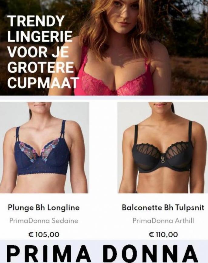 Trendy Lingerie. Page 4