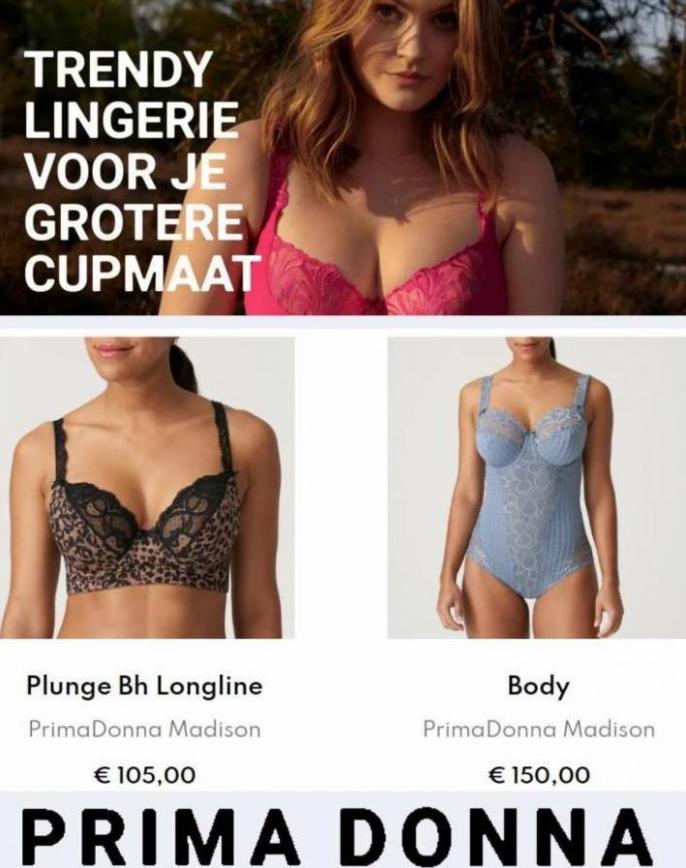 Trendy Lingerie. Page 5