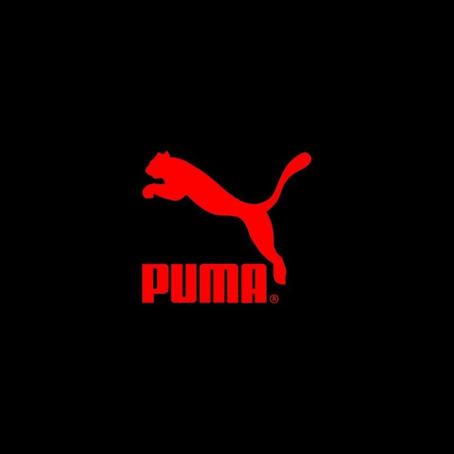 Nieuw Binnen Heren Puma. Page 12