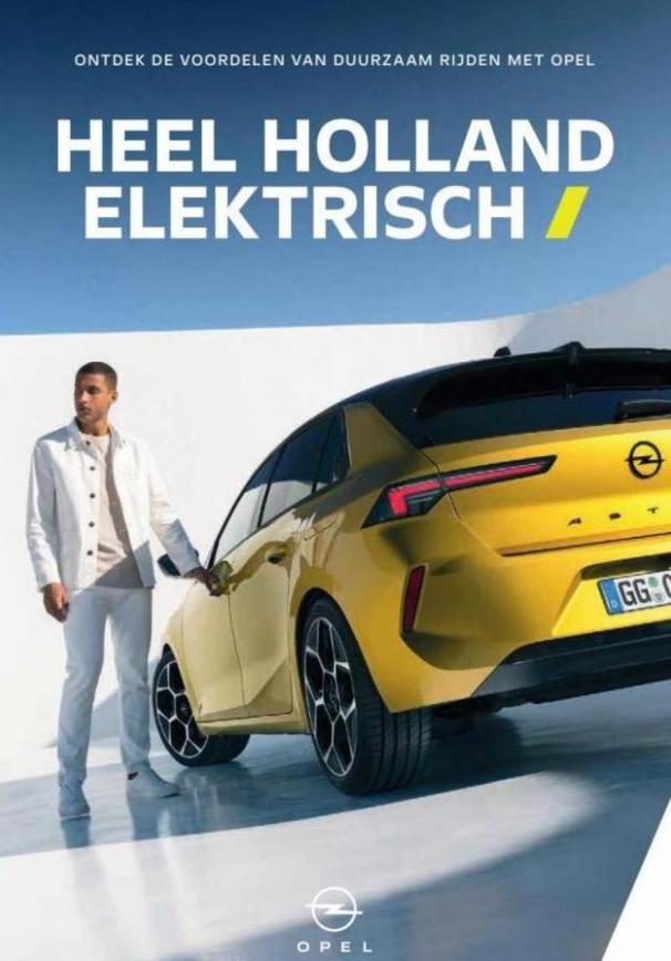 Heel Holland Elektrisch. Opel. Week 29 (2024-01-31-2024-01-31)