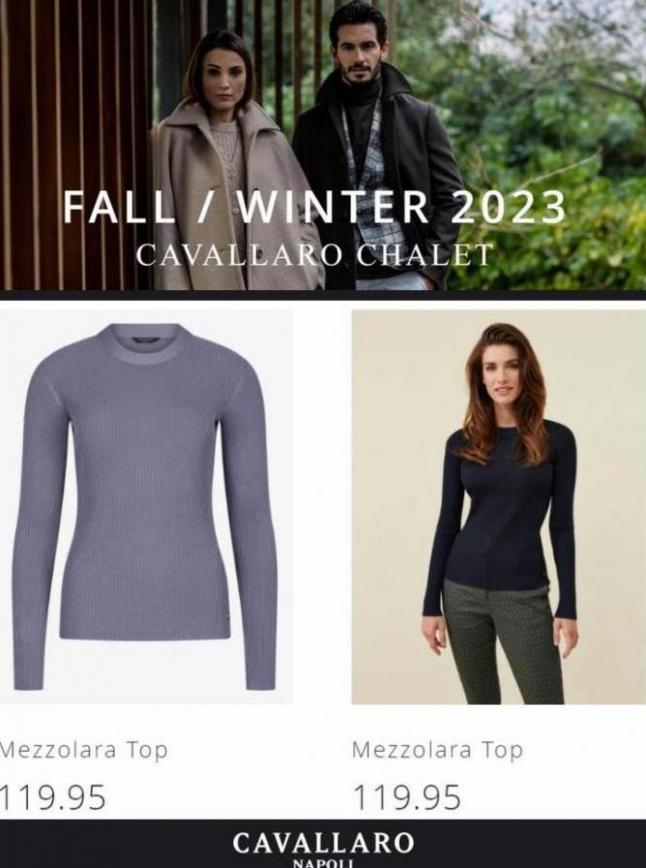 Fall/Winter 2023 Cavallaro Chalet. Page 5