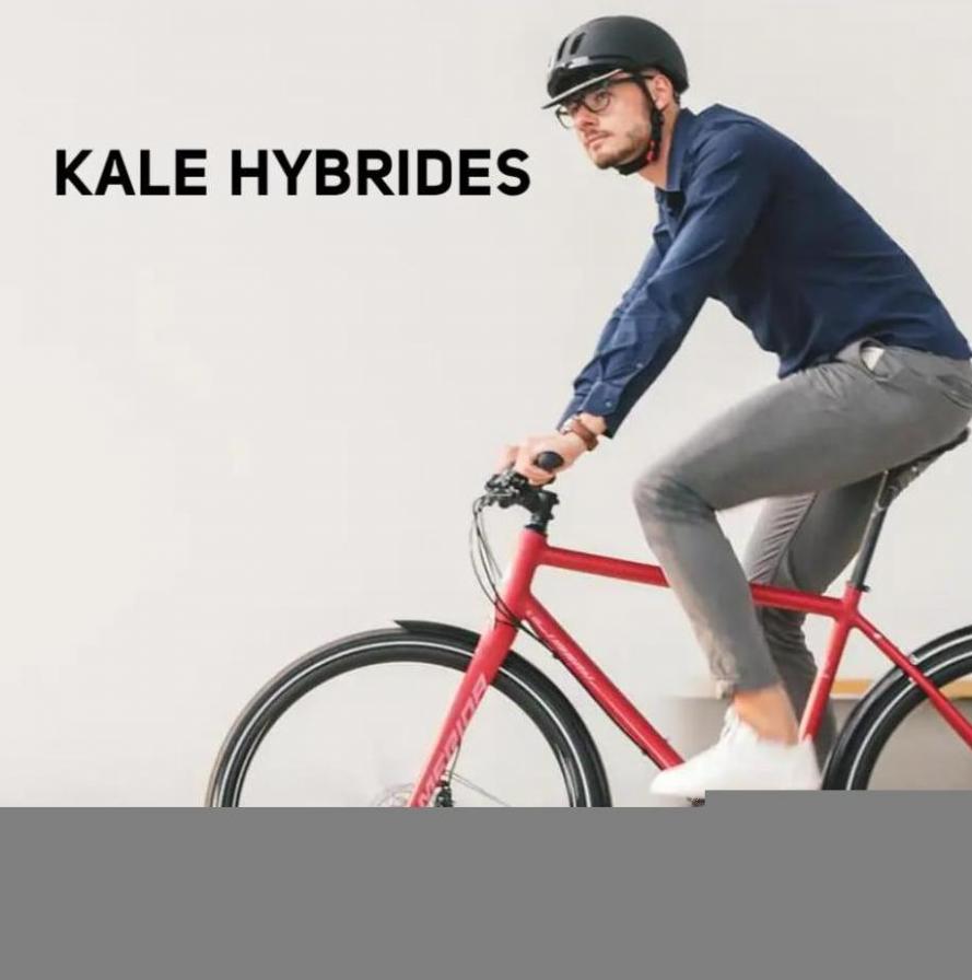 Kale Hybrides. Merida. Week 40 (2023-10-16-2023-10-16)