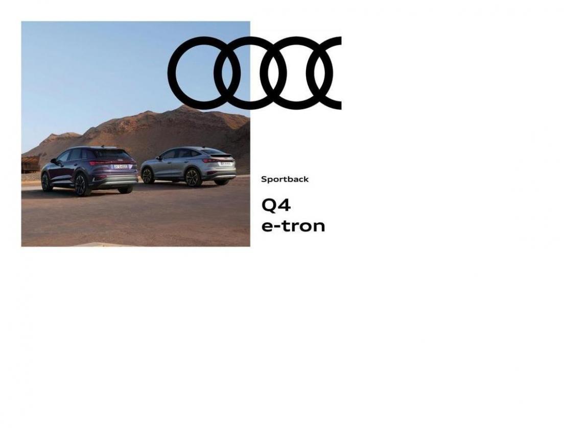 Q4 e-tron. Audi. Week 6 (2024-02-02-2024-02-02)