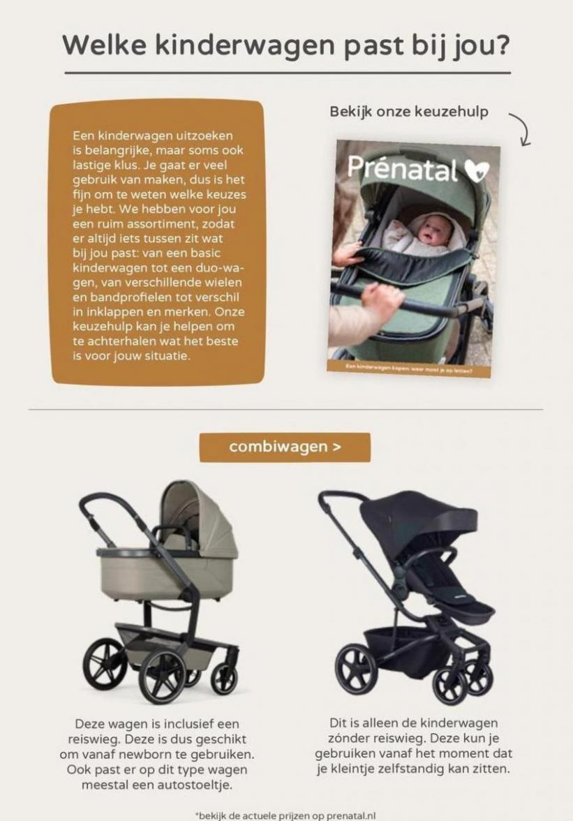 Prenatal folder. Page 10