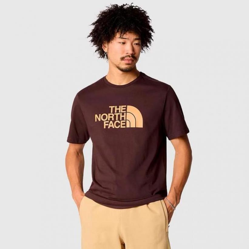Nieuw T-Shirts Heren The North Face. Page 4