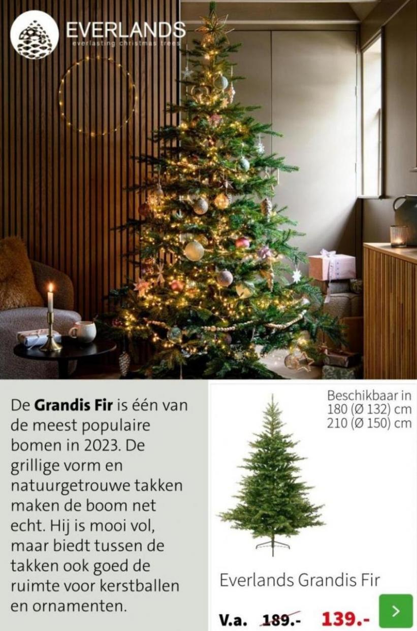 Kunstkerst bomen catalogus 2023. Page 2