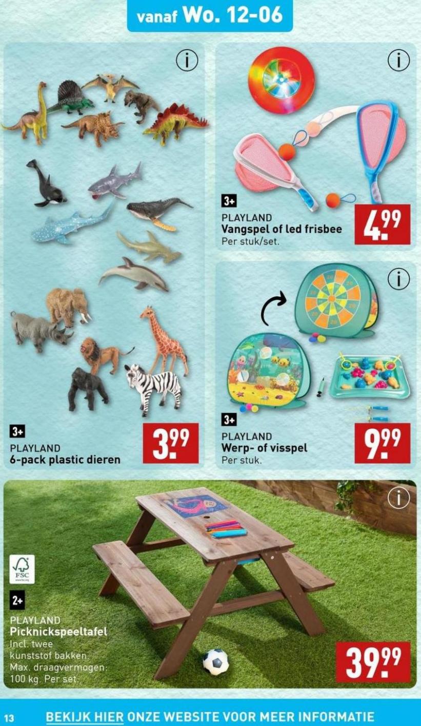 Voordelige Zomer. Page 13