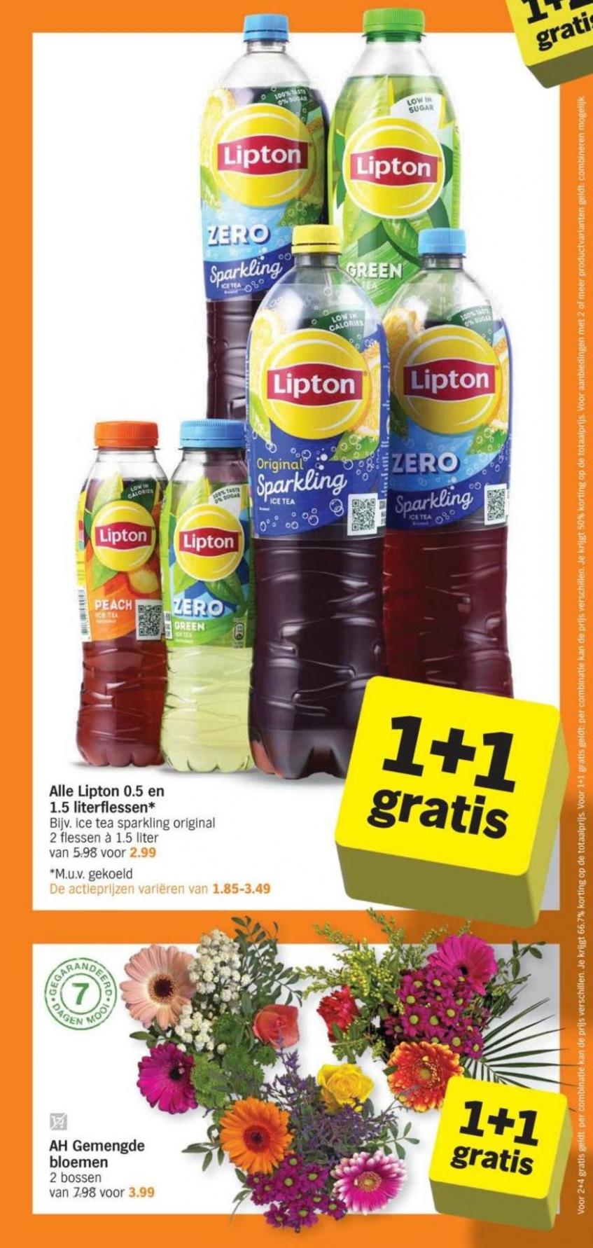 Albert Heijn De Giga GRATIS Week. Page 31