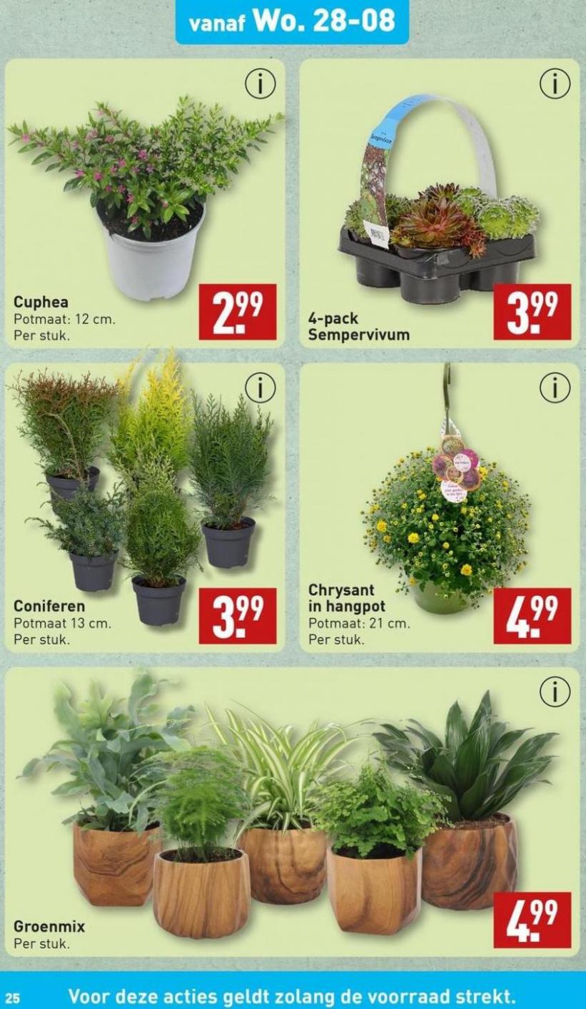 Bespaar nu met onze deals!. Page 25