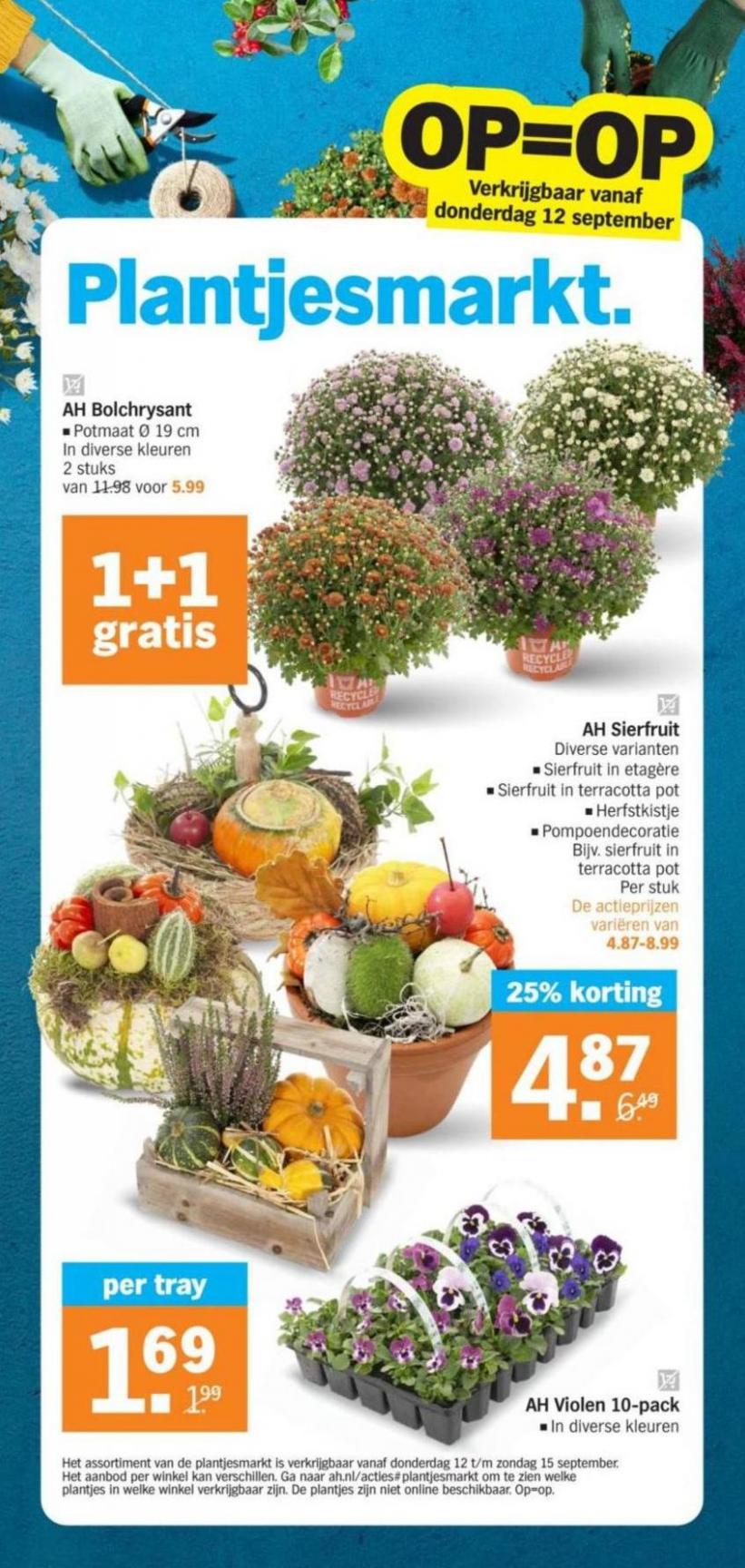 Albert Heijn folder. Page 26